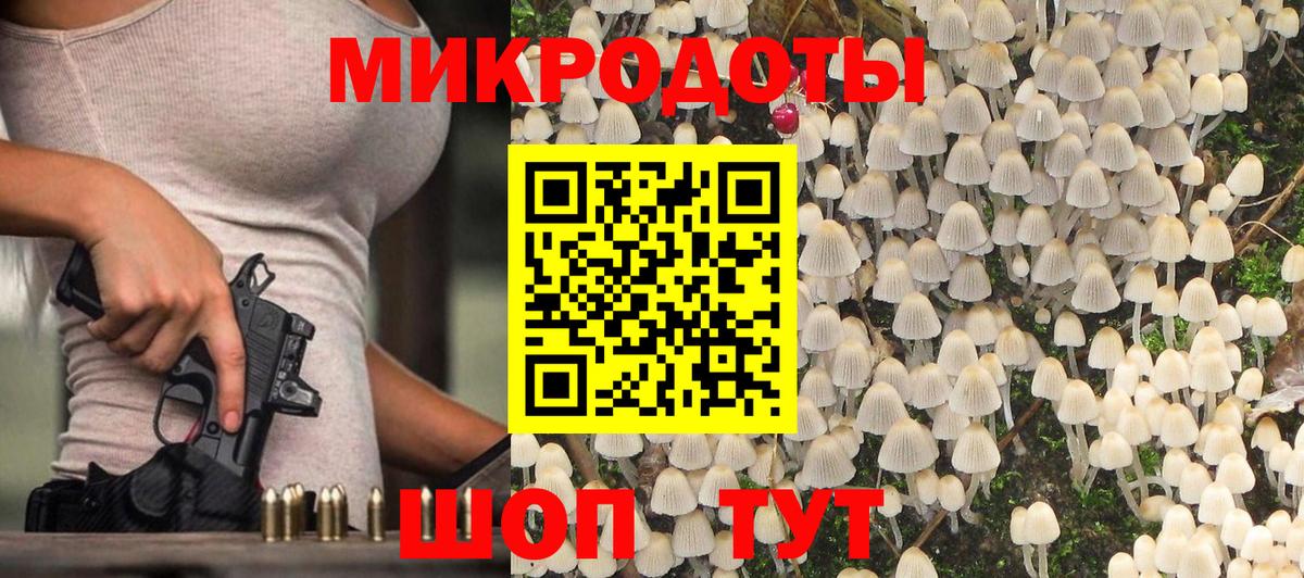 Галлюциногенные грибы Psilocybe Отрадное